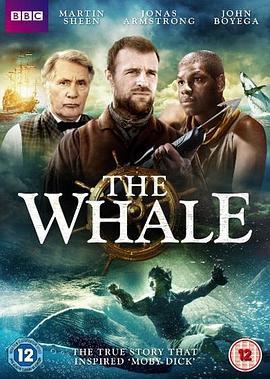 鲸鱼 The Whale (2013) - 毒蛇电影