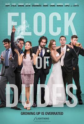 死党们 Flock of Dudes (2016) - 毒蛇电影