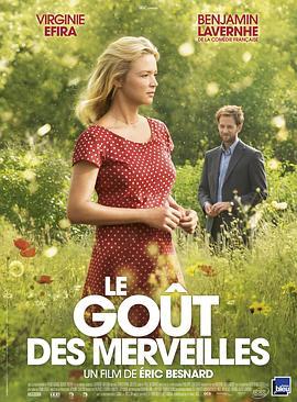 奇迹之味 Le Goût des merveilles (2015) - 毒蛇电影