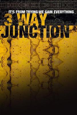 三岔路口 3 Way Junction (2017) - 毒蛇电影