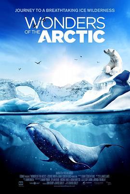 北极奇观 Wonders of the Arctic (2014) - 毒蛇电影