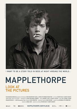 罗伯特·梅普勒索普：看看那些照片 Mapplethorpe: Look at the Pictures (2016) - 毒蛇电影