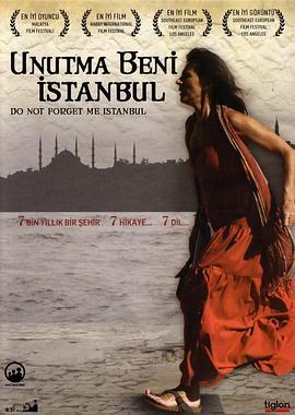 伊斯坦布尔，请不要将我遗忘 Unutma Beni İstanbul (2011) - 毒蛇电影