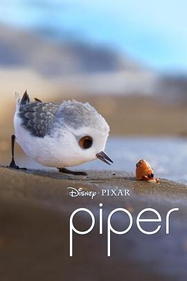 鹬 Piper (2016) - 毒蛇电影