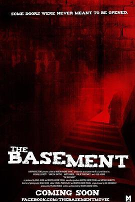 The Basement  (2011) - 毒蛇电影