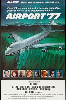 77年航空港 Airport '77 (1977) - 毒蛇电影