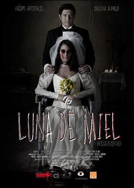 蜜月旅行 Luna de Miel (2015) - 毒蛇电影