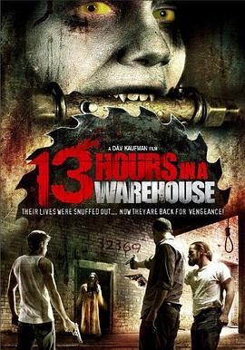 仓库十三小时 13 Hours in a Warehouse (2008) - 毒蛇电影