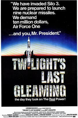 美国最后之日 Twilight's Last Gleaming (1977) - 毒蛇电影