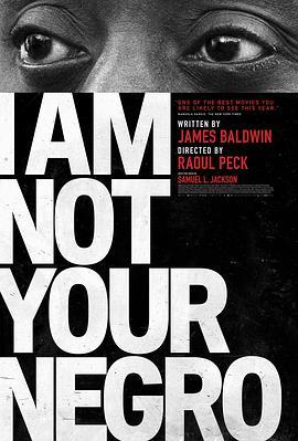 我不是你的黑鬼 I Am Not Your Negro (2016) - 毒蛇电影