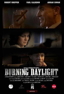 浮华时代 Burning Daylight (2010) - 毒蛇电影