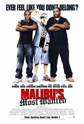 马里布绑票案 Malibu's Most Wanted (2003) - 毒蛇电影