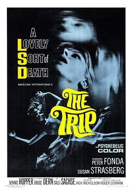 迷途 The Trip (1967) - 毒蛇电影