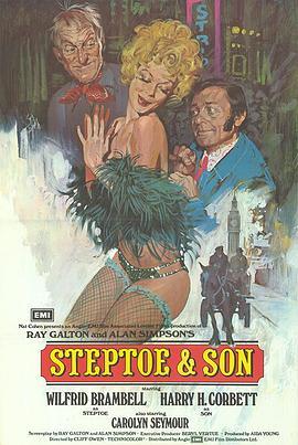 斯特普托父子 Steptoe and Son (1972) - 毒蛇电影