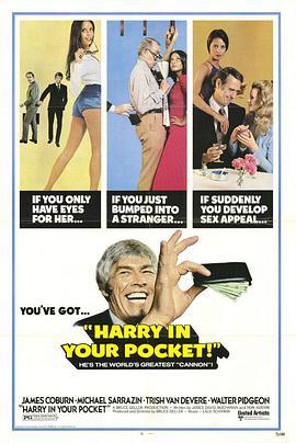 妙手空空大行动 Harry in Your Pocket (1973) - 毒蛇电影