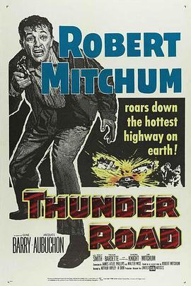 霹雳街歼枭战 Thunder Road (1958) - 毒蛇电影