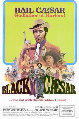 黑凯撒 Black Caesar (1973) - 毒蛇电影