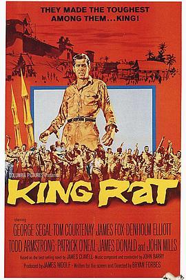 鼠王 King Rat (1965) - 毒蛇电影