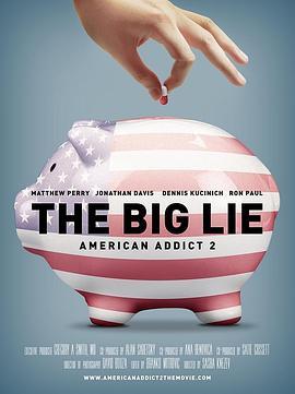 大谎言：美国瘾2 American Addict 2: The Big Lie (2015) - 毒蛇电影