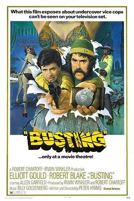 铁胆双雄 Busting (1974) - 毒蛇电影