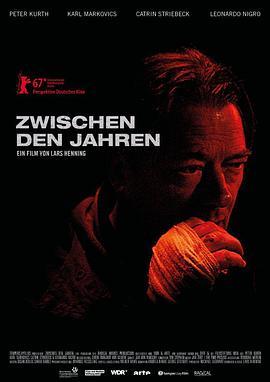 下一年 Zwischen den Jahren (2017) - 毒蛇电影