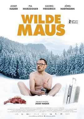 狂鼠 Wilde Maus (2017) - 毒蛇电影