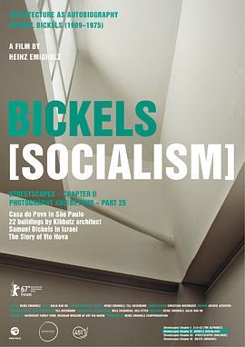 街市风景：主义篇 Bickels: Socialism (2017) - 毒蛇电影