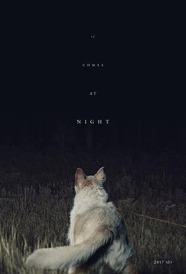 黑夜造访 It Comes at Night (2017) - 毒蛇电影