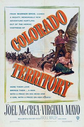 虎盗蛮花 Colorado Territory (1949) - 毒蛇电影