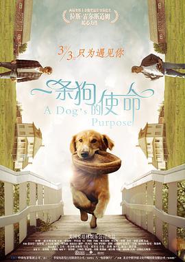 一条狗的使命 A Dog's Purpose (2017) - 毒蛇电影