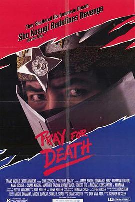 死亡的祈祷 Pray for Death (1985) - 毒蛇电影