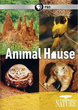 自然世界：动物之家 The Natural World: Animal House (2011) - 毒蛇电影