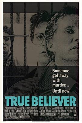 法网终结者 True Believer (1989) - 毒蛇电影