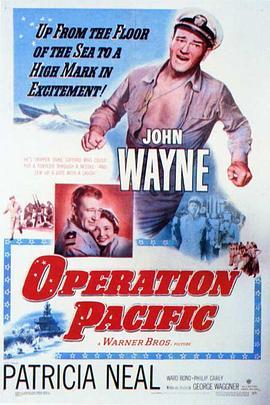 太平洋争霸战 Operation Pacific (1951) - 毒蛇电影