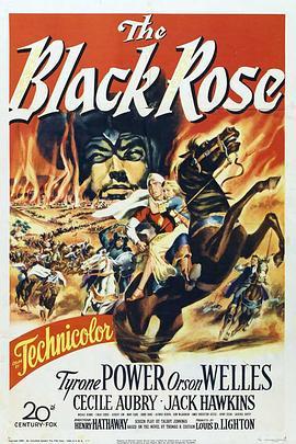 黑玫瑰 The Black Rose (1950) - 毒蛇电影