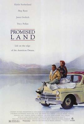 锦绣年华 Promised Land (1987) - 毒蛇电影