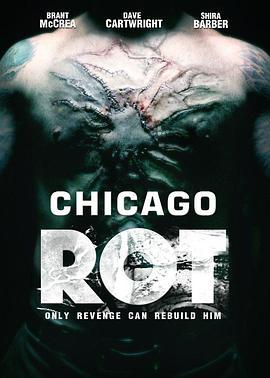 暗黑破坏芝加哥 Chicago Rot (2015) - 毒蛇电影