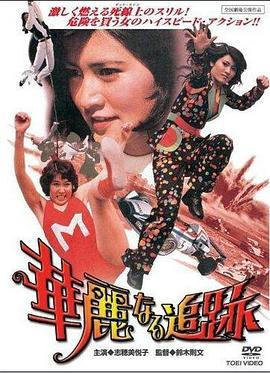 华丽的追踪 華麗なる追跡 (1975) - 毒蛇电影