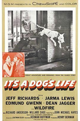 狗脸人生 It's a Dog's Life (1955) - 毒蛇电影