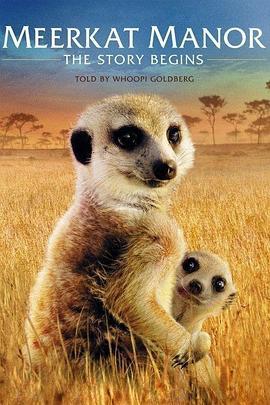 蒙哥一家的故事 Meerkat Manor: The Story Begins (2008) - 毒蛇电影