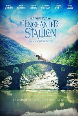 阿尔比恩：丹恩的兴起 Albion: The Enchanted Stallion (2016) - 毒蛇电影