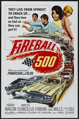 飞车枭雄龙虎斗 Fireball 500 (1966) - 毒蛇电影