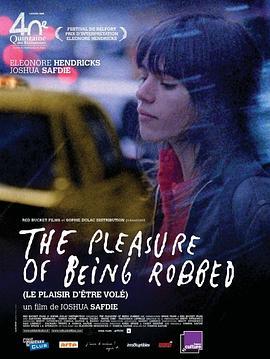 被抢劫的乐趣 The Pleasure of Being Robbed (2008) - 毒蛇电影