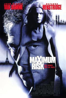 硬闯百分百危险 Maximum Risk (1996) - 毒蛇电影