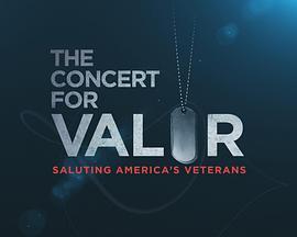 The Concert for Valor  (2014) - 毒蛇电影