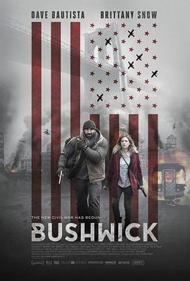 布希维克 Bushwick (2017) - 毒蛇电影