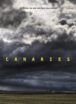 暗：杀手之旅 Canaries (2017) - 毒蛇电影