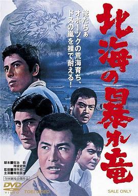 北海暴龙 北海の暴れ竜 (1966) - 毒蛇电影