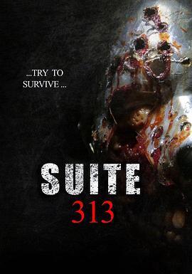 313套房 Suite 313 (2017) - 毒蛇电影