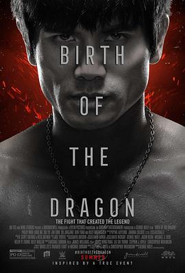 龙之诞生 Birth of the Dragon (2016) - 毒蛇电影